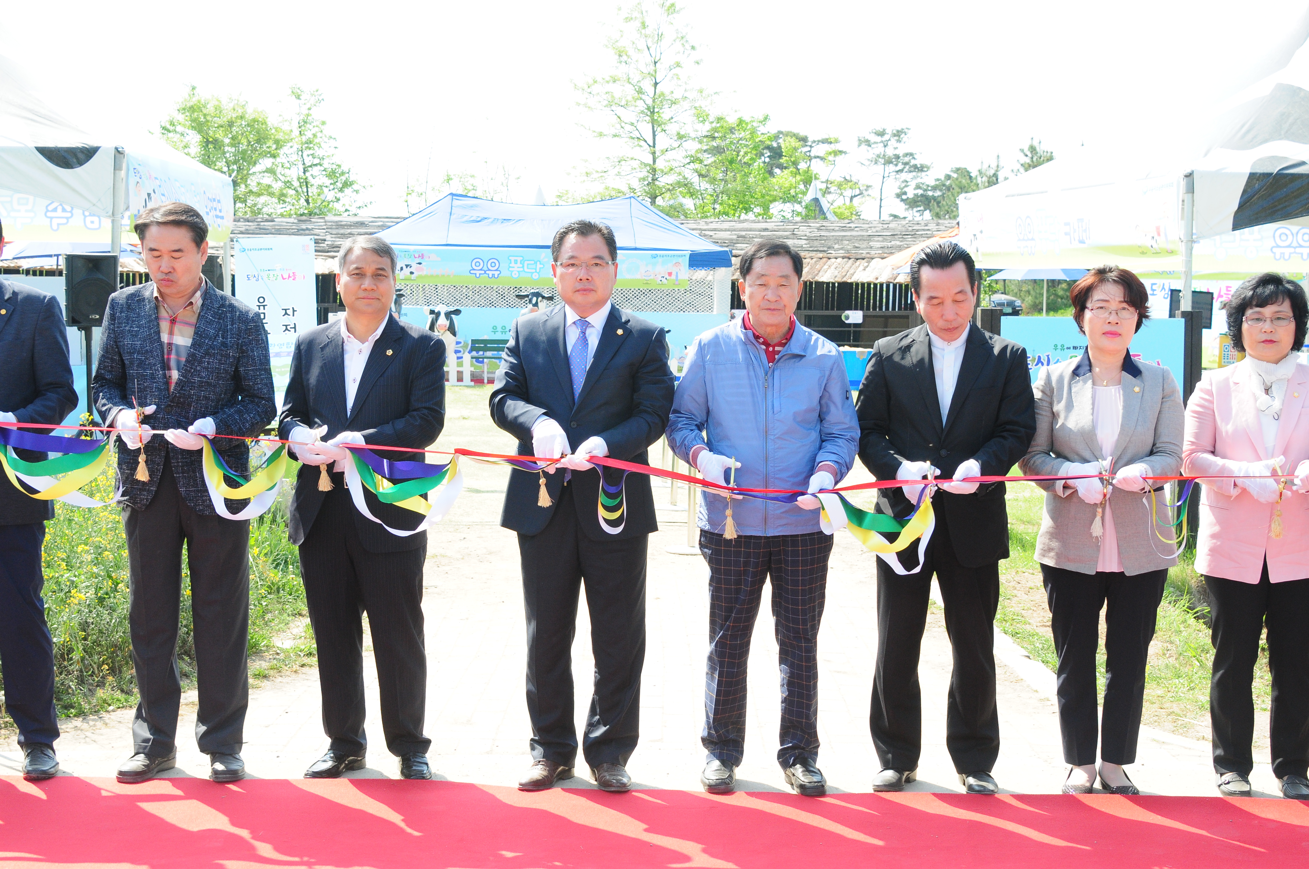 제19회 함평나비대축제 젖소목장 나들이 체험행사(2017.05.03)-1 1