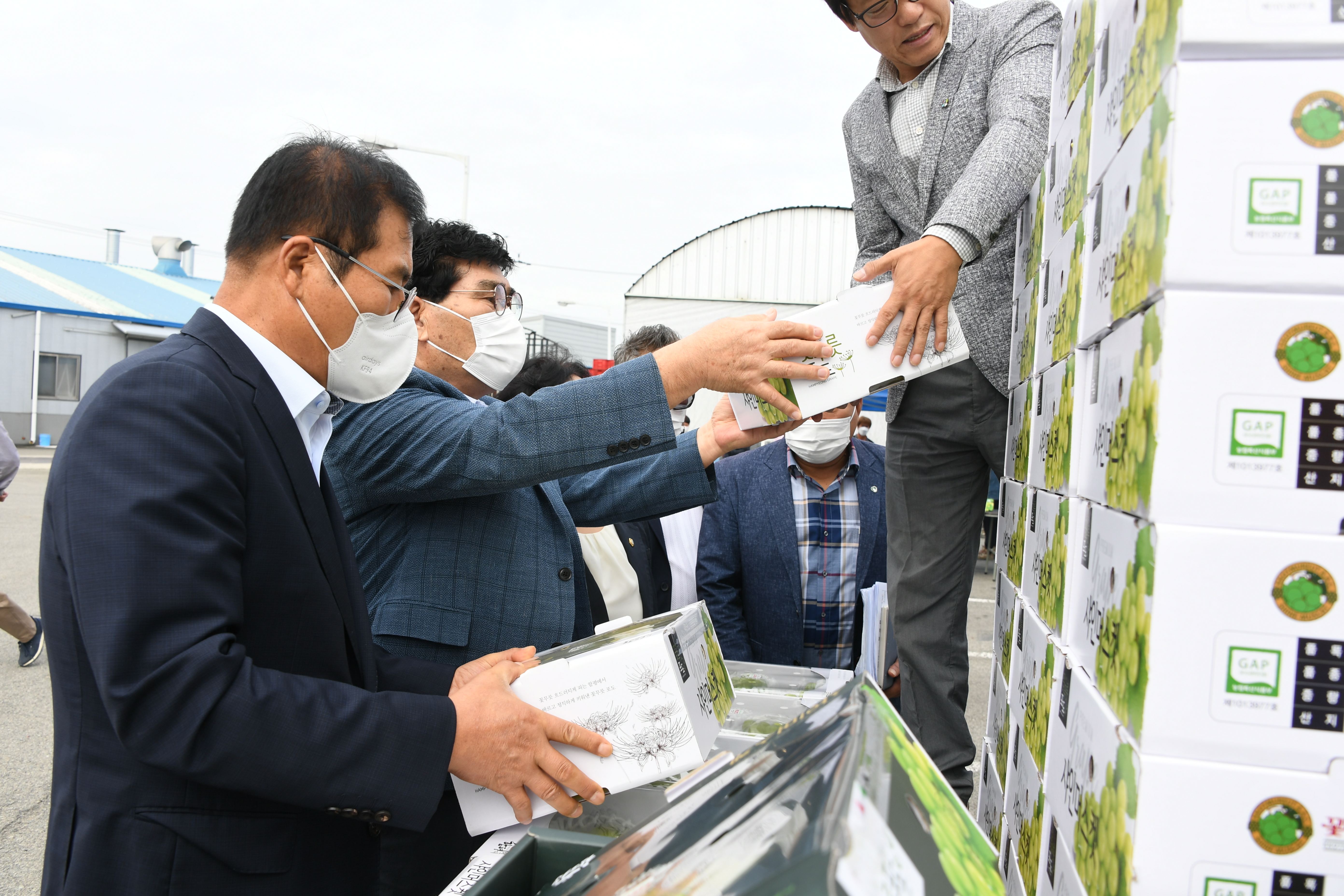 함평 샤인머스켓 수출 상차식(2021.10.14.) 2