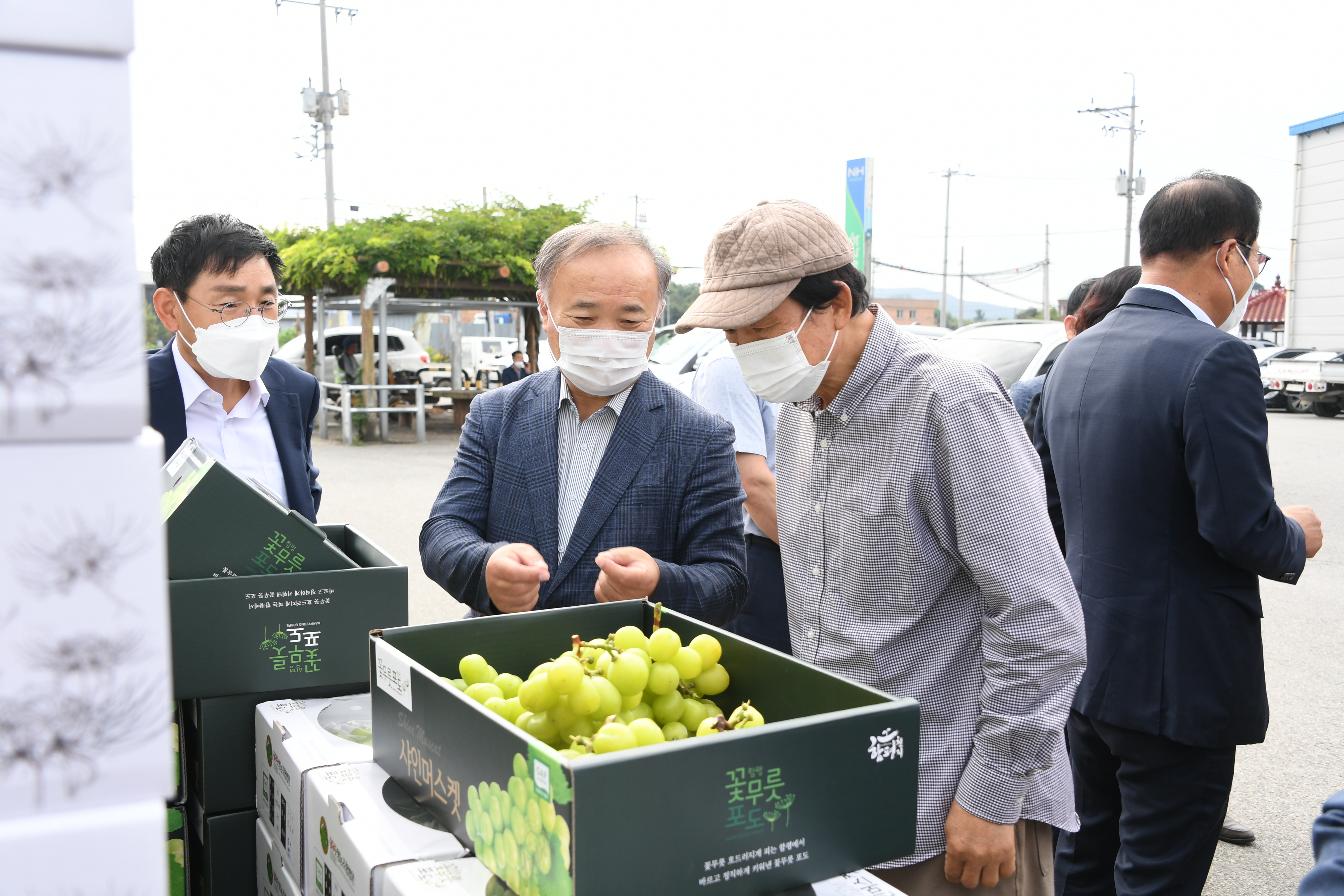 함평 샤인머스켓 수출 상차식(2021.10.14.) 5