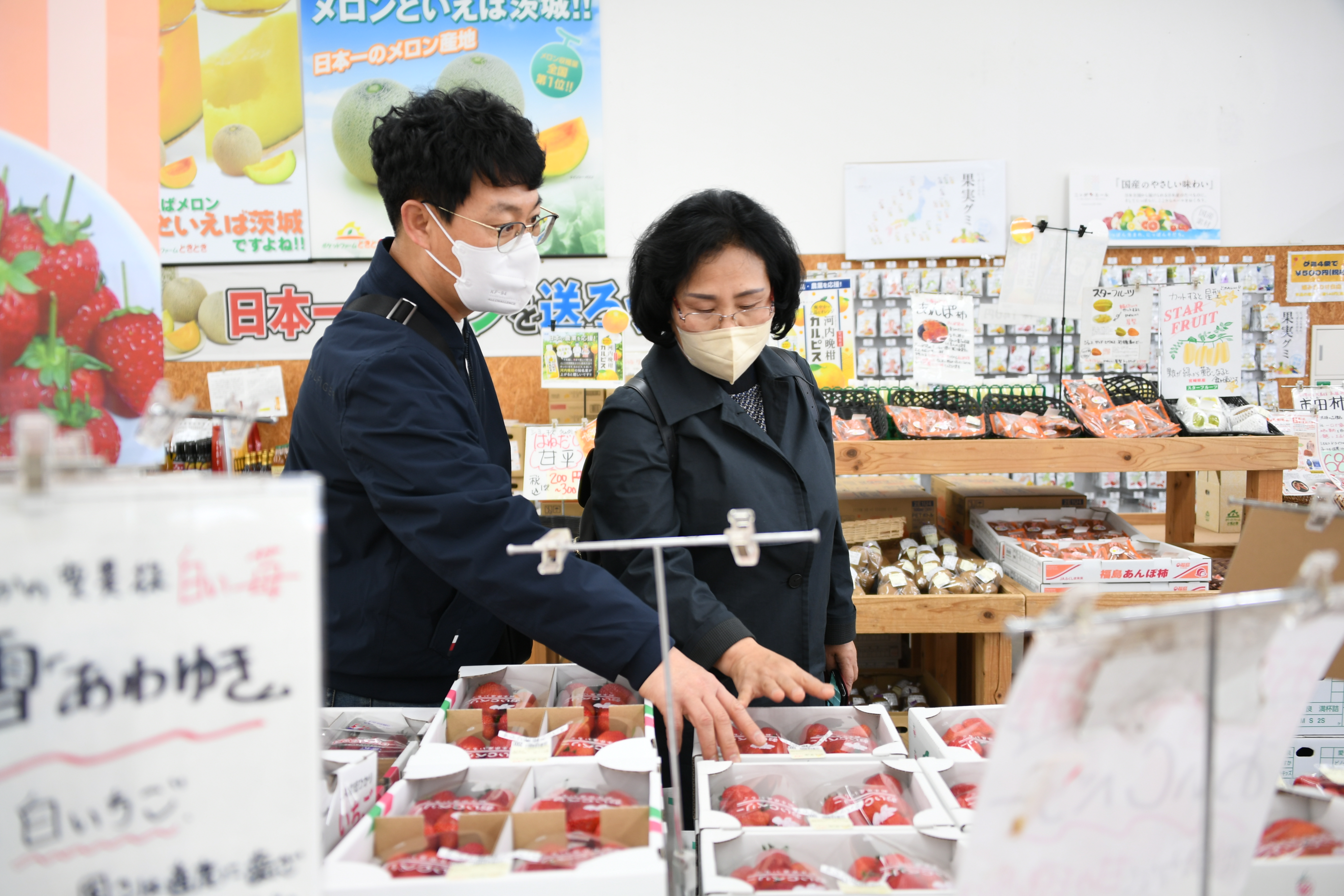 포켓팜 우시쿠점 방문(2023.3.11.) 10