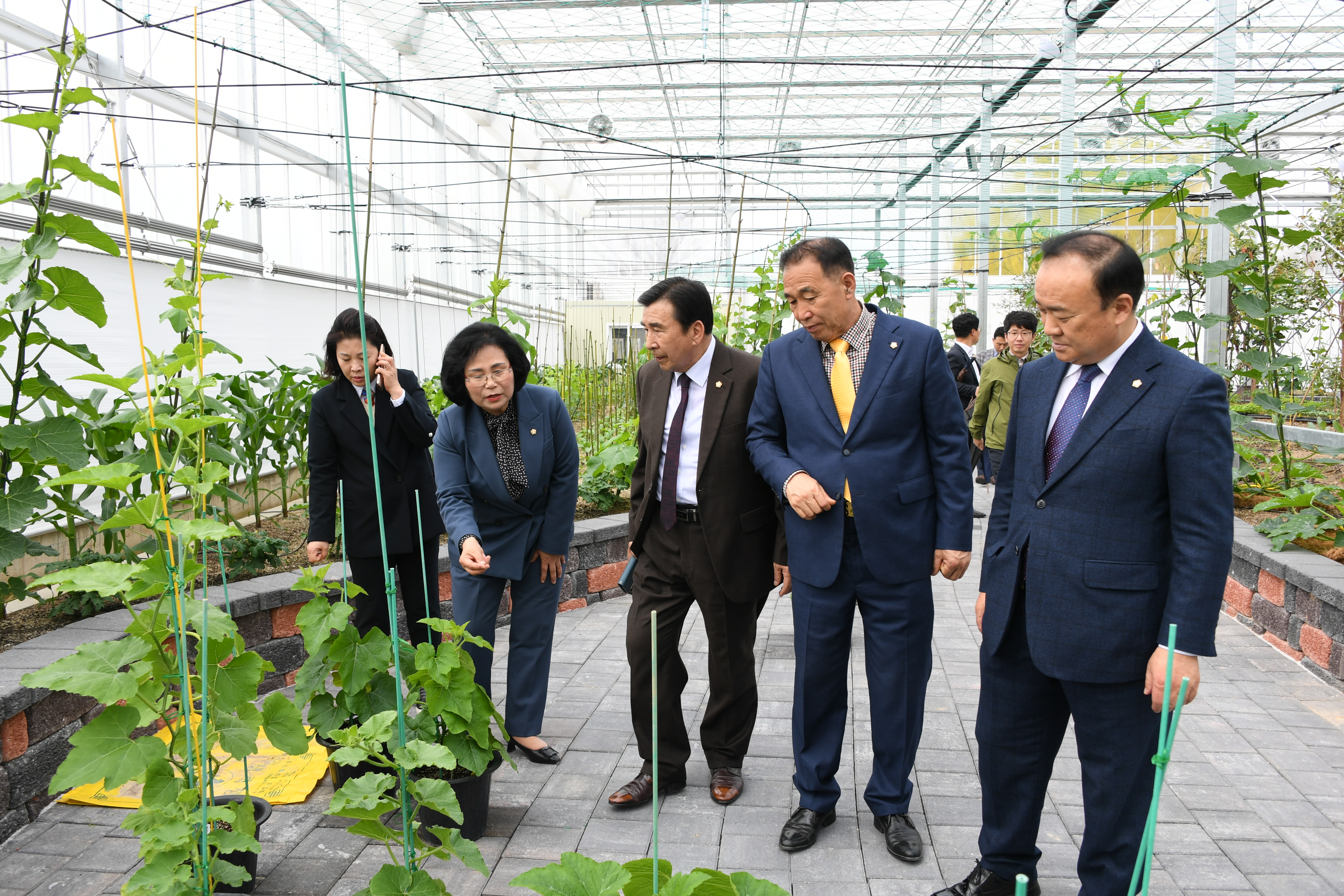 제25회 함평나비대축제 성공기원 나비날리기 행사(2023.3.23.) 9