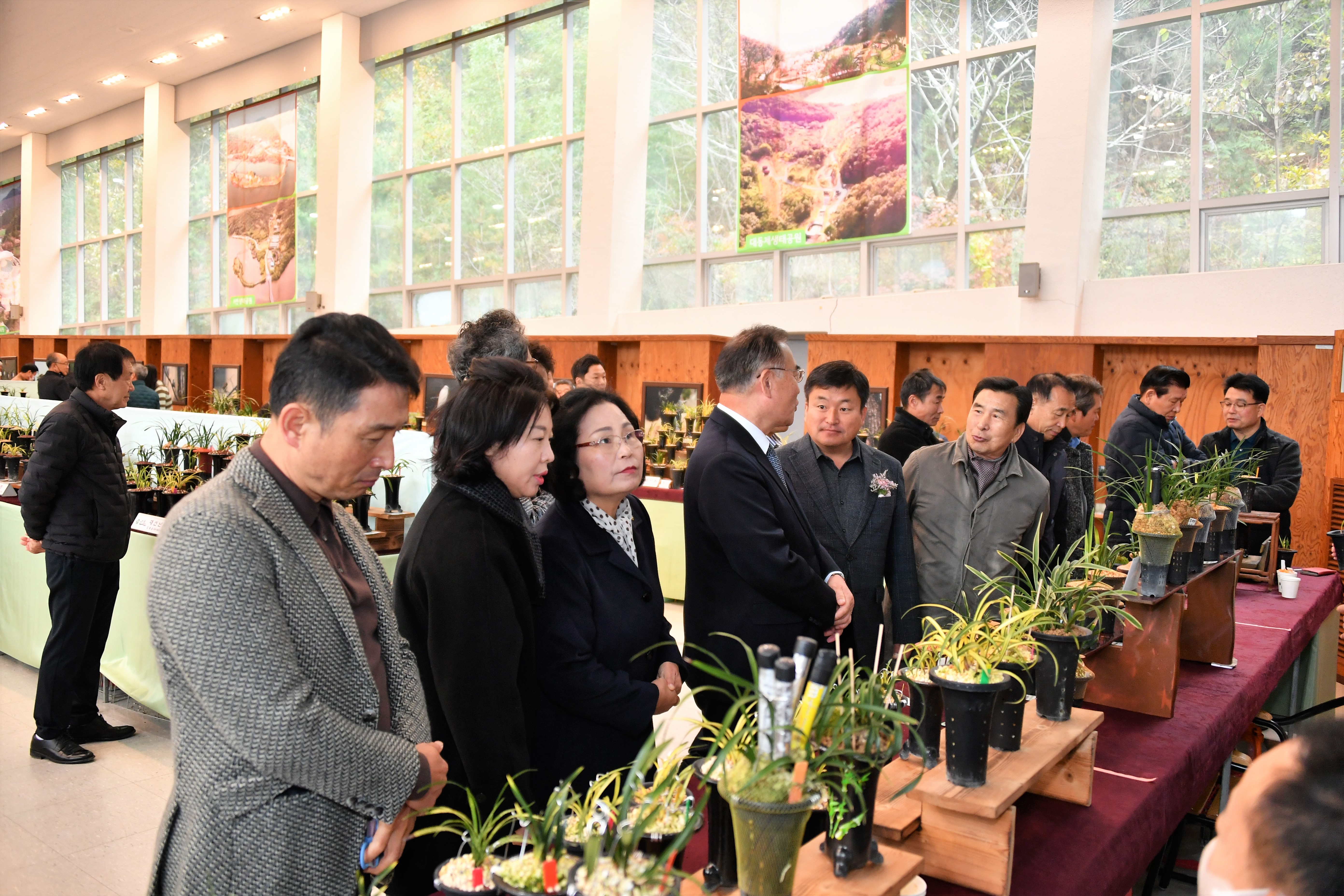제1회 함평 한국춘란 가을 전시회(2023.11.18.) 7