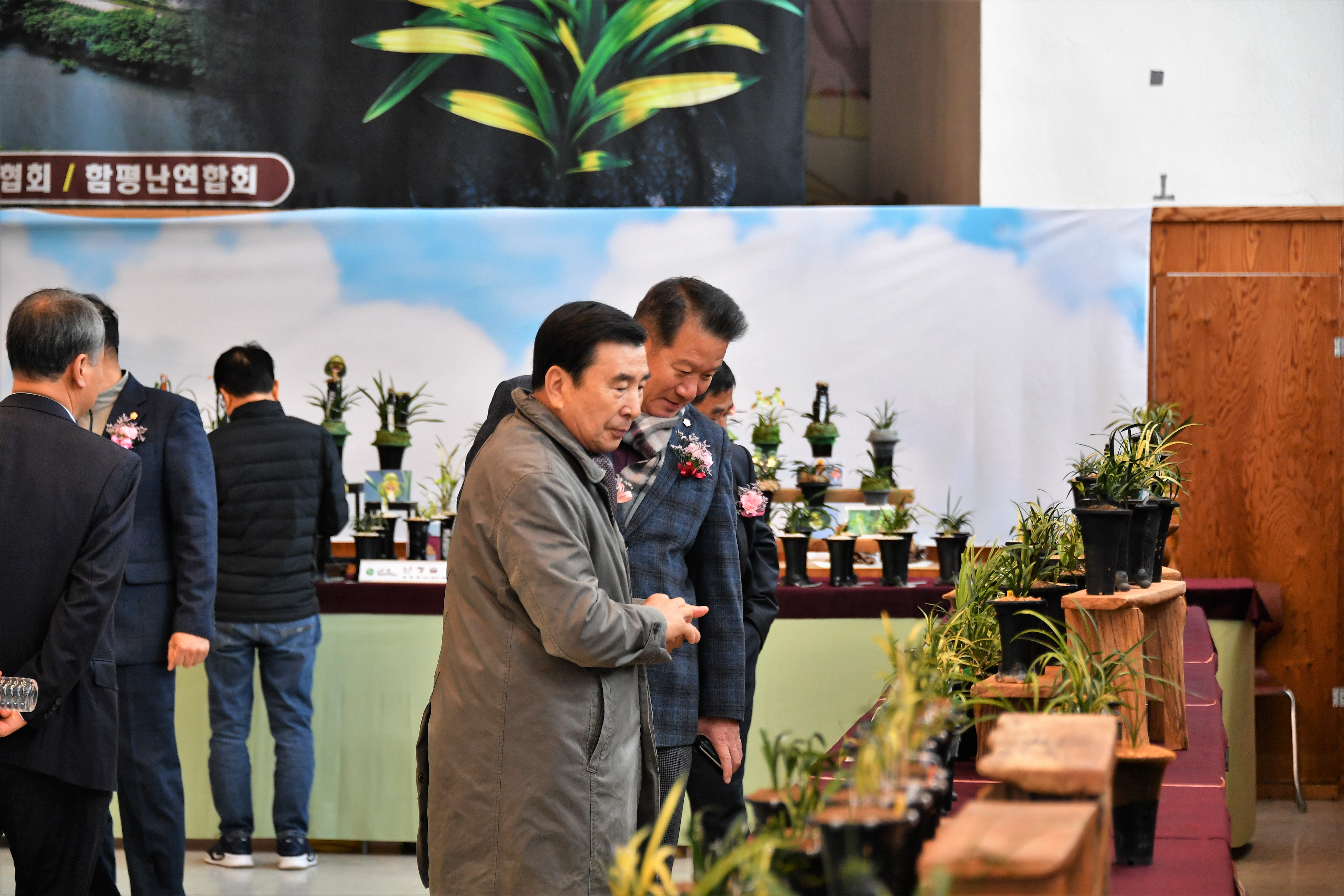 제1회 함평 한국춘란 가을 전시회(2023.11.18.) 2