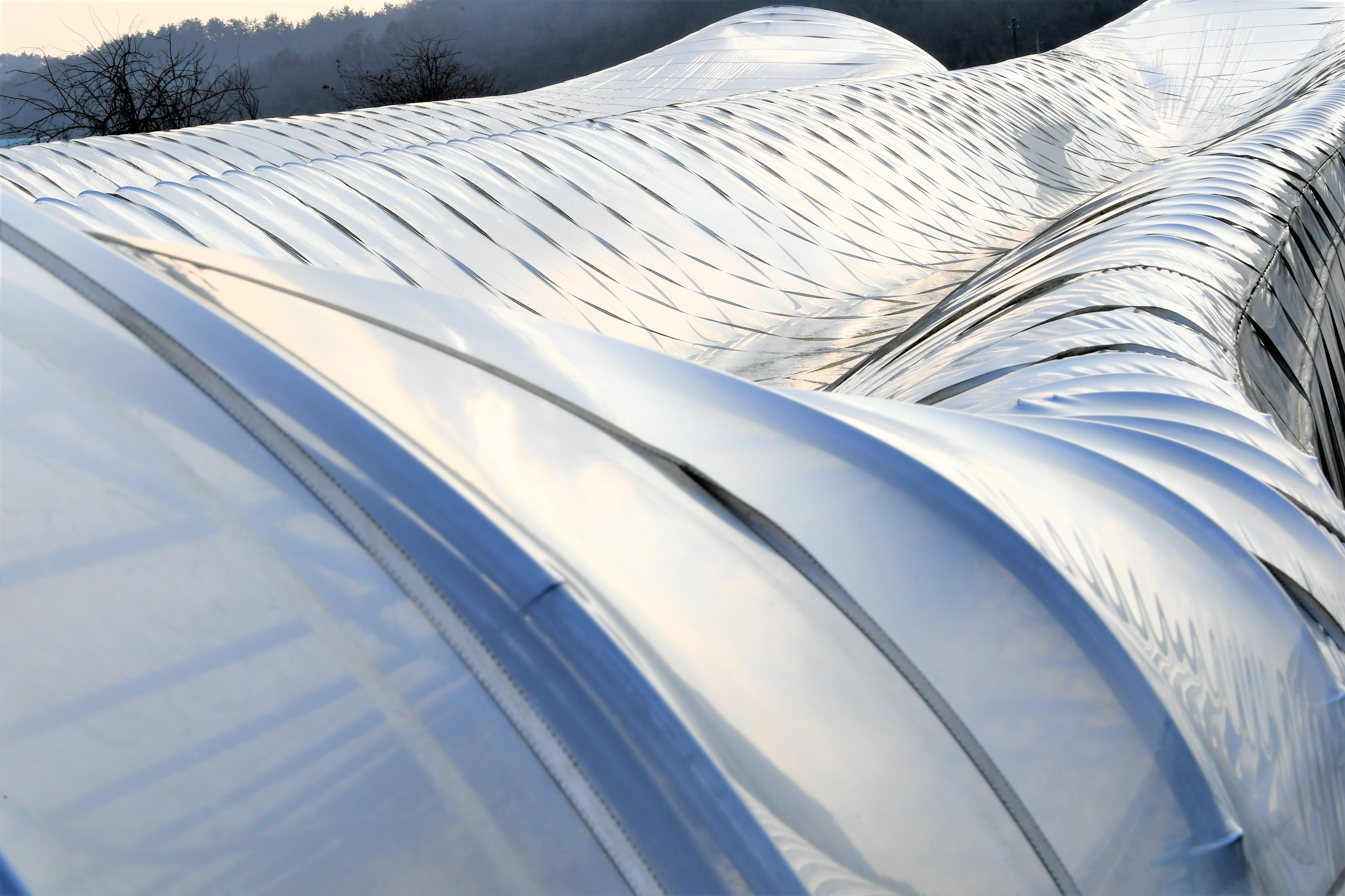 김영록 전남도지사 함평군 대설·한파 피해지역 현장방문(2024.1.4.) 1