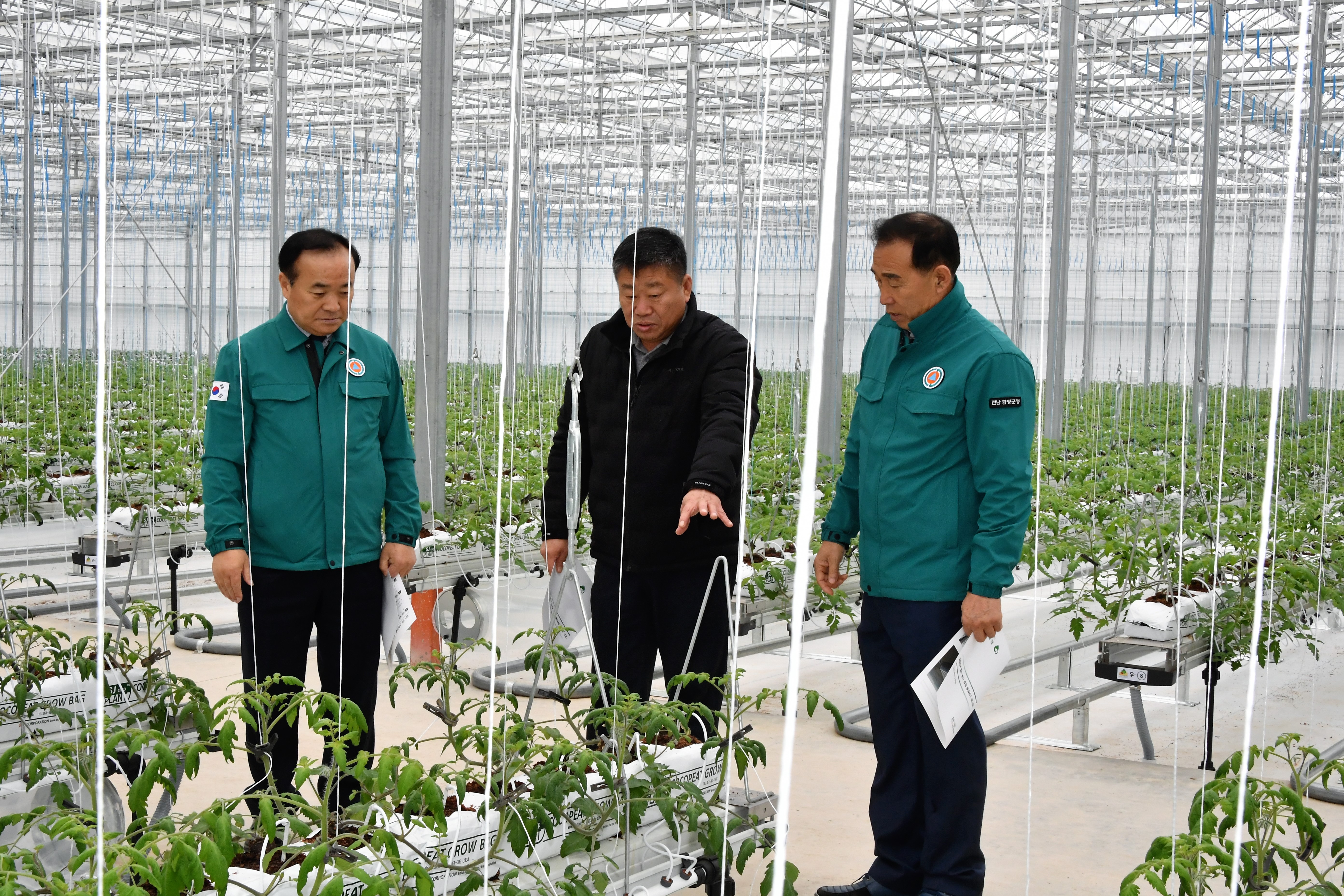 스마트 팜 온실 신축사업 추진현황 현장점검(2024.2.6.) 5