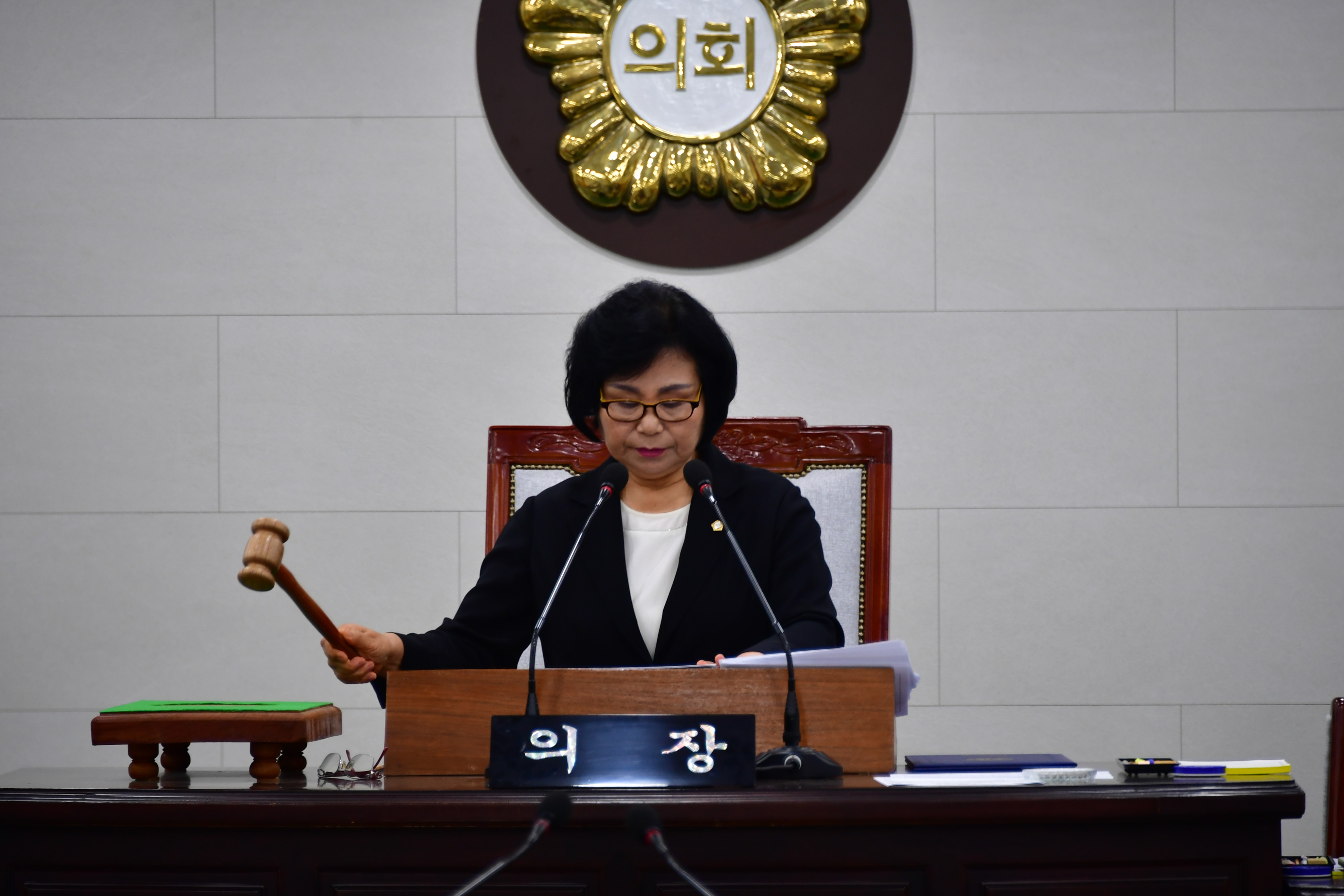 제291회 제1차 정례회 제2차 본회의(2024.6.28.) 8