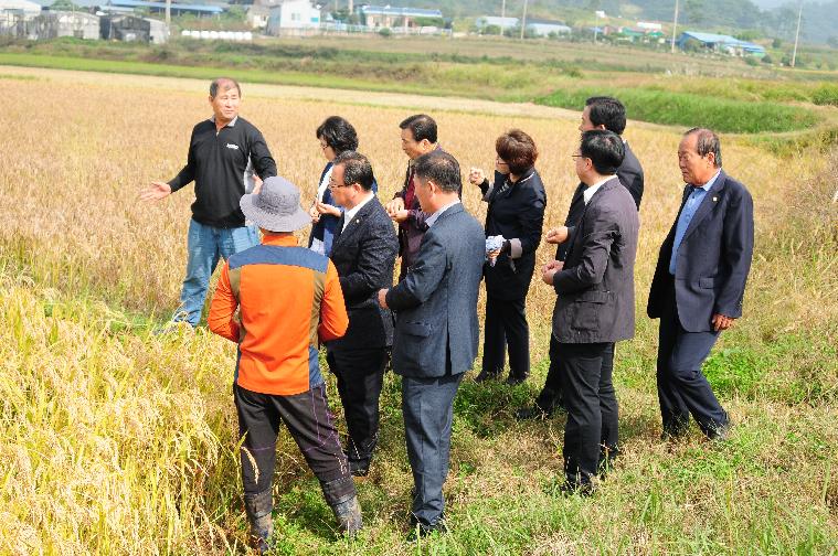 수발아 피해농가 현지방문[대동면 백호리,손불면 궁산리](2016.10.19)
