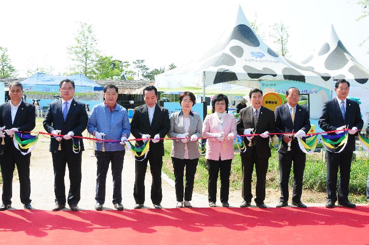 제19회 함평나비대축제 젖소목장 나들이 체험행사(2017.05.03)-1 2