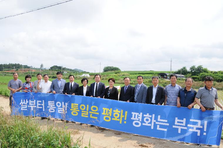 통일경작지 모내기 행사(2018.06.29.)
