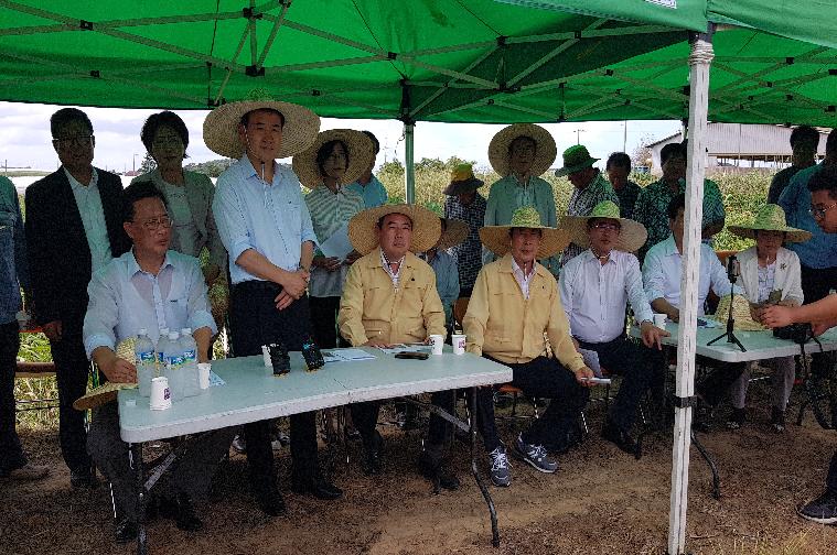 정동영대표 가뭄관련 피해지역 현장방문(2018.08.16.) 2