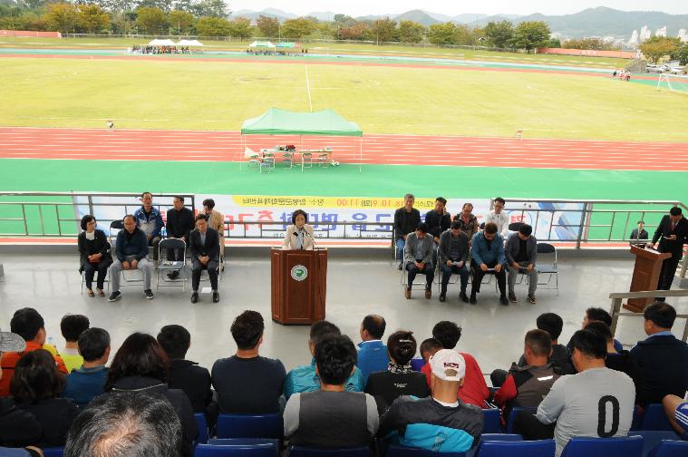 2018년 읍.면대항 친선축구대회(2018.10.09.) 4