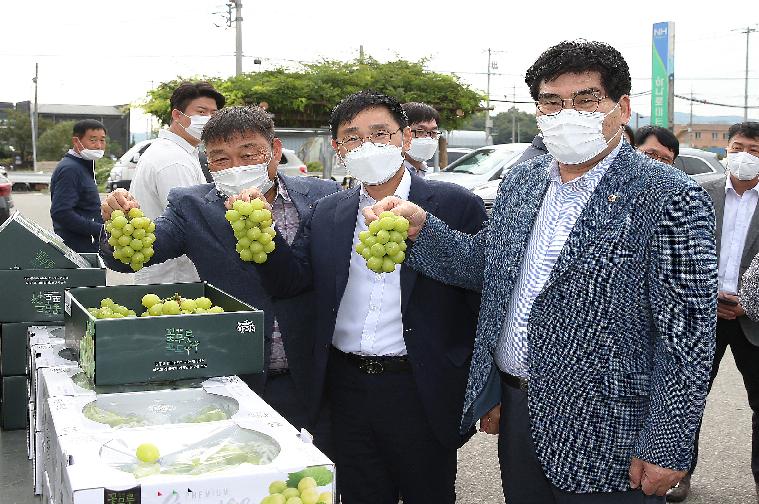 함평 샤인머스켓 수출 상차식(2021.10.14.)