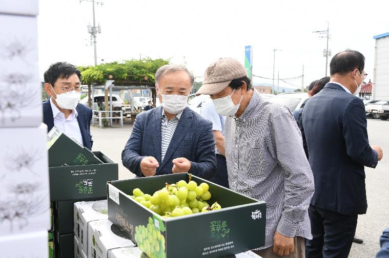 함평 샤인머스켓 수출 상차식(2021.10.14.) 5