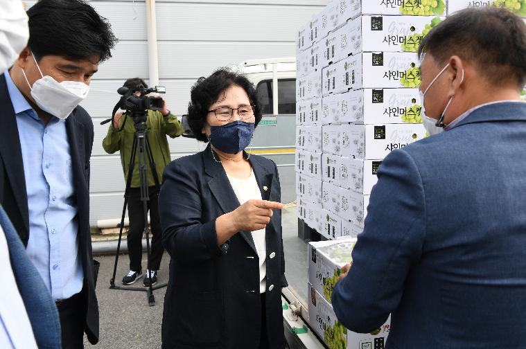 함평 샤인머스켓 수출 상차식(2021.10.14.) 4