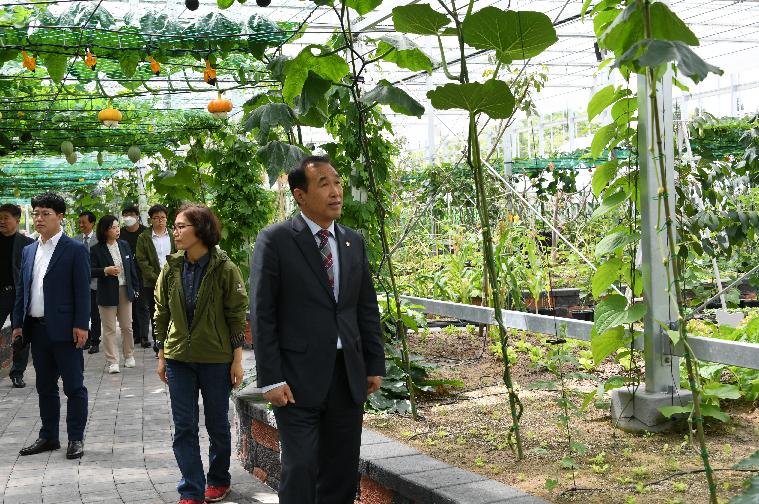 제25회 함평나비대축제 행사장 현장방문(2023.4.20.) 4