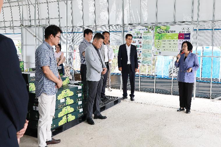 함평지역특화작물(샤인머스켓)캄보디아 수출농가(김용오) 방문(2023.9.25.) 8