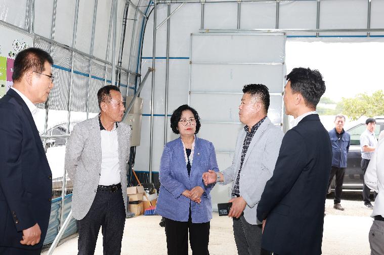 함평지역특화작물(샤인머스켓)캄보디아 수출농가(김용오) 방문(2023.9.25.) 5