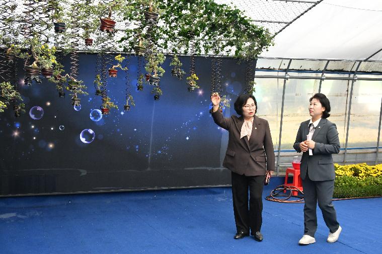 2023년 국향대전 축제현장 점검(2023.10.18.) 6