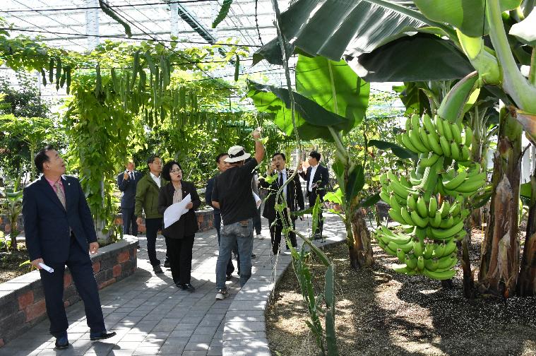 2023년 국향대전 축제현장 점검(2023.10.18.) 10