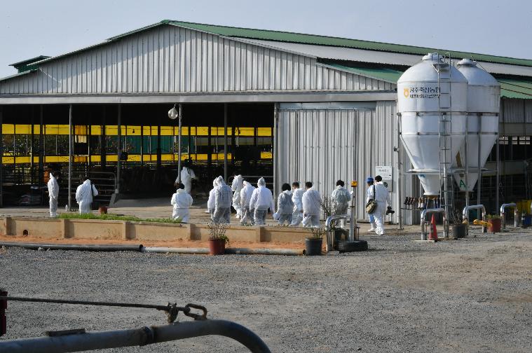 김영록 전남도지사 함평 럼피스킨병 방역대책 현장점검(2023.11.1.) 7