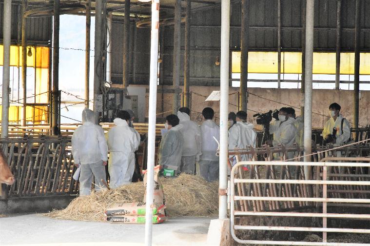 김영록 전남도지사 함평 럼피스킨병 방역대책 현장점검(2023.11.1.) 8