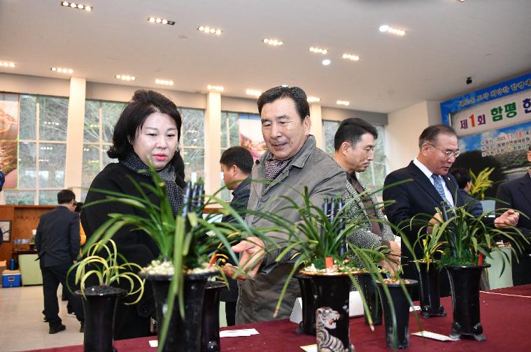 제1회 함평 한국춘란 가을 전시회(2023.11.18.) 9