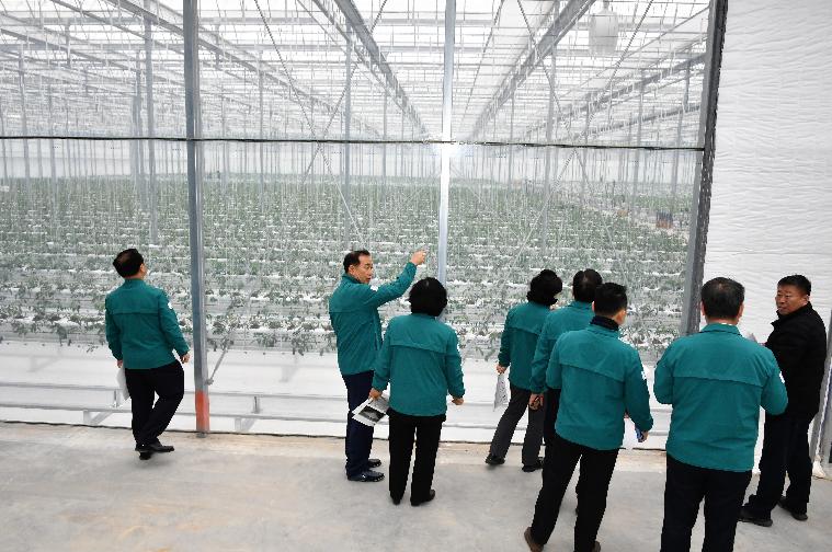 스마트 팜 온실 신축사업 추진현황 현장점검(2024.2.6.) 2