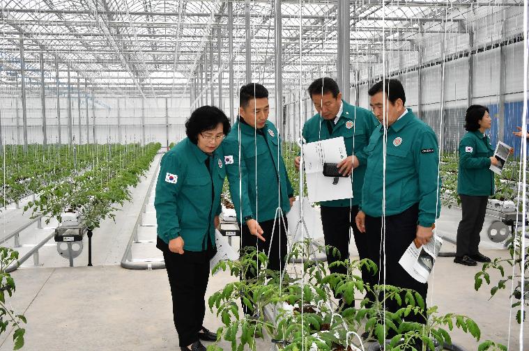 스마트 팜 온실 신축사업 추진현황 현장점검(2024.2.6.) 4