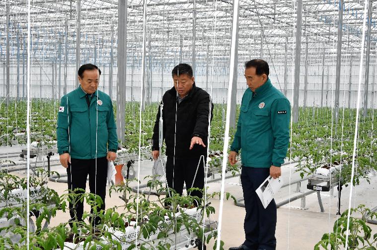 스마트 팜 온실 신축사업 추진현황 현장점검(2024.2.6.) 5