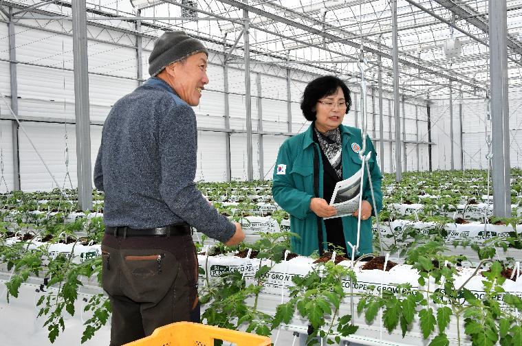 스마트 팜 온실 신축사업 추진현황 현장점검(2024.2.6.) 10