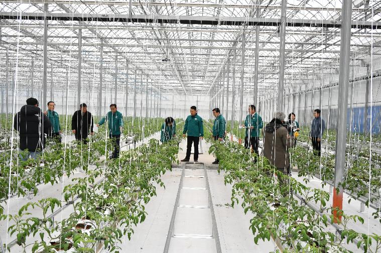 스마트 팜 온실 신축사업 추진현황 현장점검(2024.2.6.) 6