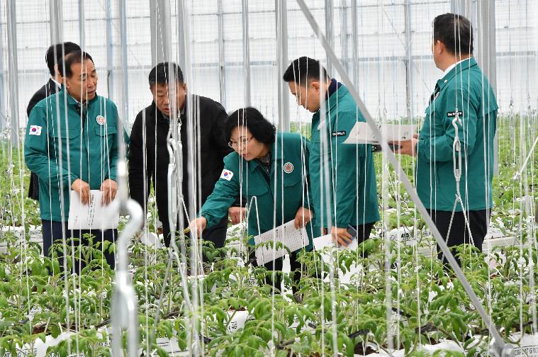 스마트 팜 온실 신축사업 추진현황 현장점검(2024.2.6.) 9