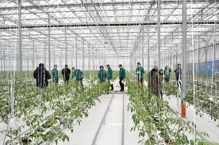 스마트 팜 온실 신축사업 추진현황 현장점검(2024.2.6.) 7