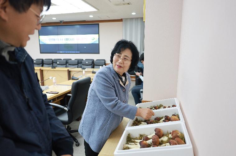 함평군 특산품(적송이버섯) 양해각서(MOU) 체결식(2024.2.19.) 4