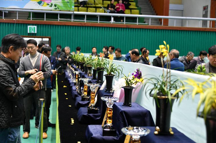 2024 대한민국 난 명품 대제전(2024.3.16.)