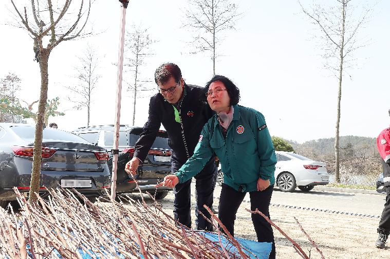 산불 피해지 복구를 위한 나무심기 행사(2024.3.22.) 5