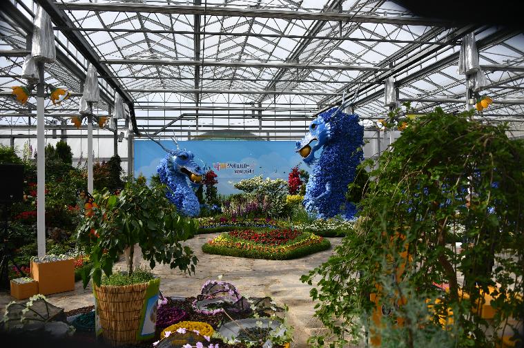 제26회 함평나비축제 개장기념 나비날리기 행사(2024.4.26.)