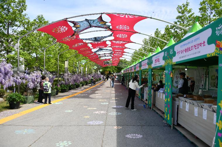 제26회 함평나비축제 현장관람(2024.4.26.) 4