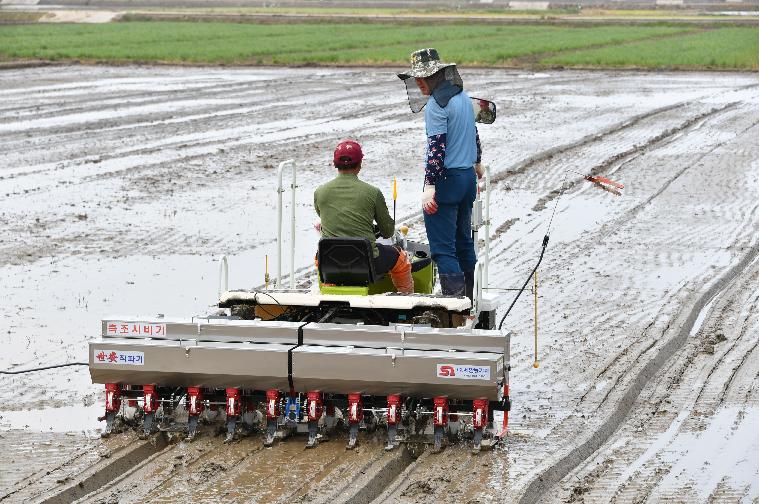 2024 벼 무논 파종기직파(원줄기 재배)연시회(2024.6.4.) 5