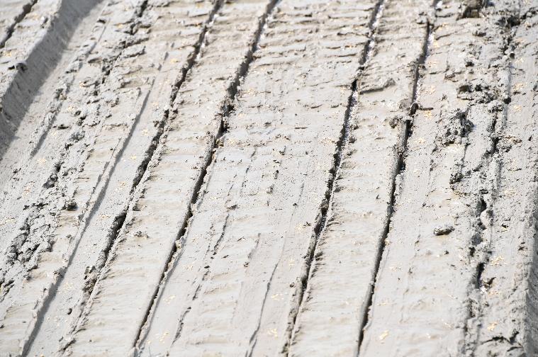 2024 벼 무논 파종기직파(원줄기 재배)연시회(2024.6.4.) 7