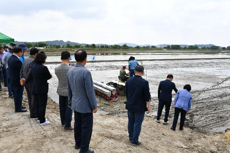 2024 벼 무논 파종기직파(원줄기 재배)연시회(2024.6.4.) 4