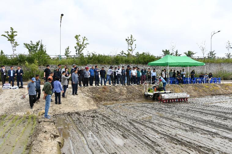 2024 벼 무논 파종기직파(원줄기 재배)연시회(2024.6.4.) 6