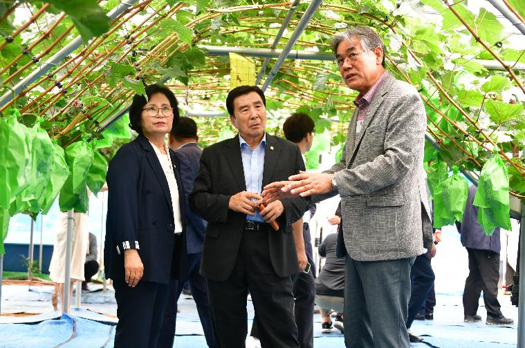 고품질포도 생산기반 조성사업 추진경과 보고회(2024.7.4.) 5