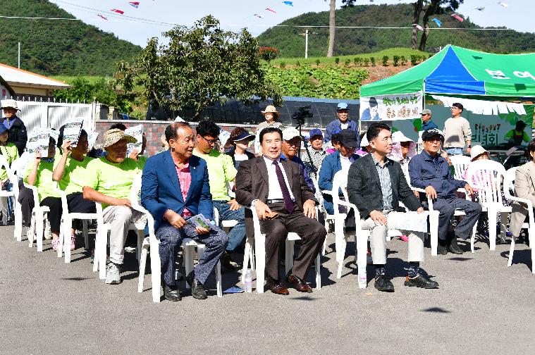 제2회 보여리 왕눈이 페스티벌(2024.10.5.) 3