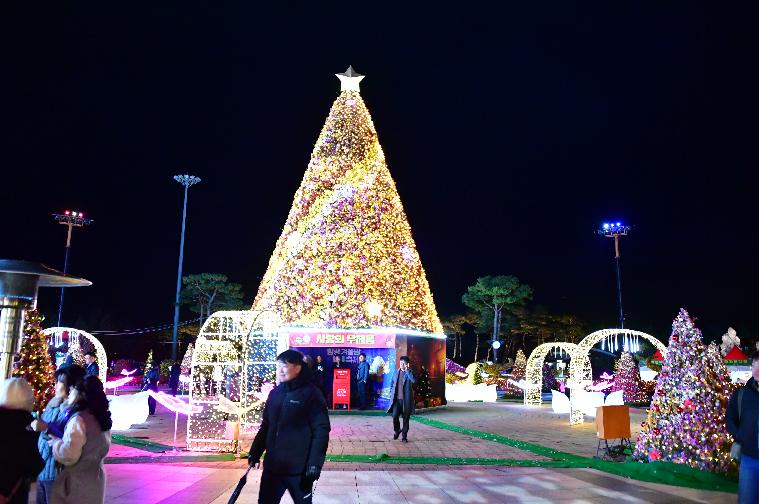 2024 함평 겨울밤 빛 축제(2024.11.26.) 2