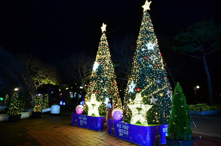 2024 함평 겨울밤 빛 축제(2024.11.26.) 3