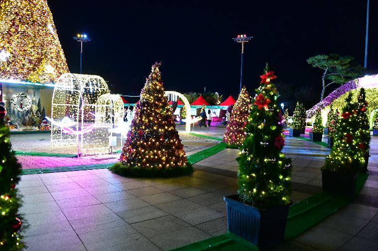 2024 함평 겨울밤 빛 축제(2024.11.26.) 4