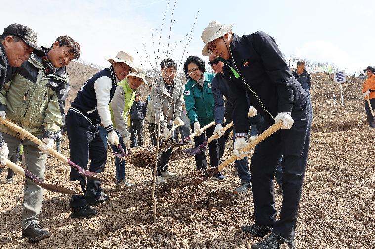 산불 피해지 복구를 위한 나무심기 행사(2024.3.22.)