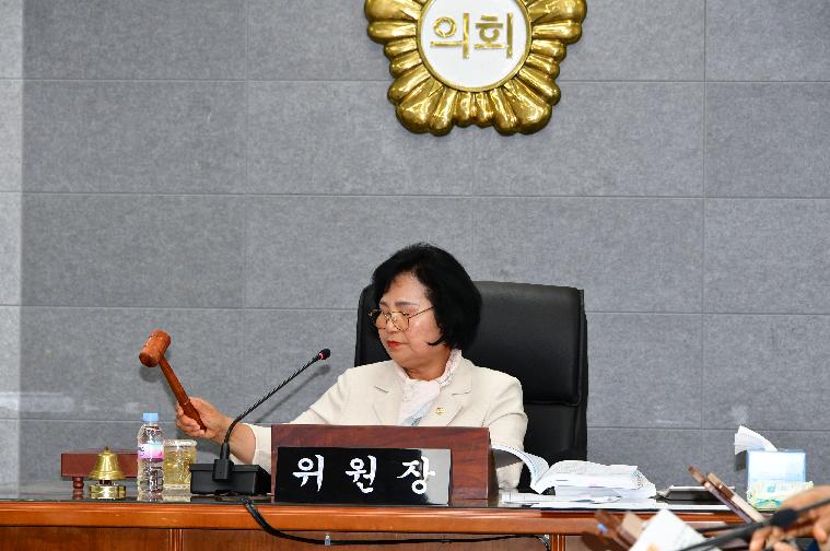 2025 행정사무감사 제2차 특별위원회(2025.6.23.)